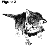 genkit.gif (7539 bytes)