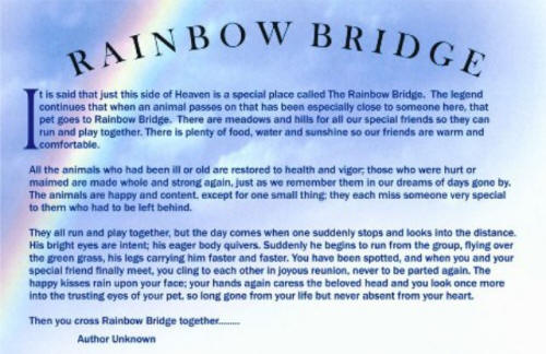 Rainbow Bridge Poem