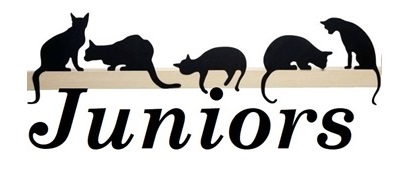 Junior